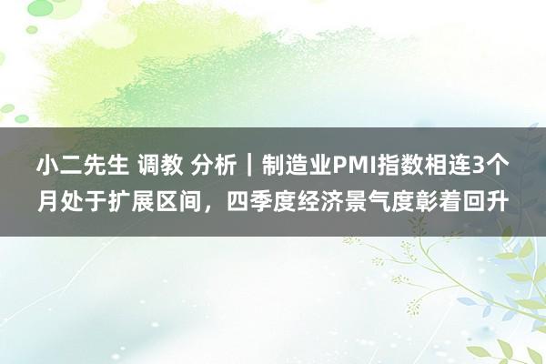 小二先生 调教 分析｜制造业PMI指数相连3个月处于扩展区间，四季度经济景气度彰着回升