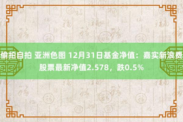 偷拍自拍 亚洲色图 12月31日基金净值：嘉实新浪费股票最新净值2.578，跌0.5%