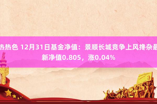 热热色 12月31日基金净值：景顺长城竞争上风搀杂最新净值0.805，涨0.04%