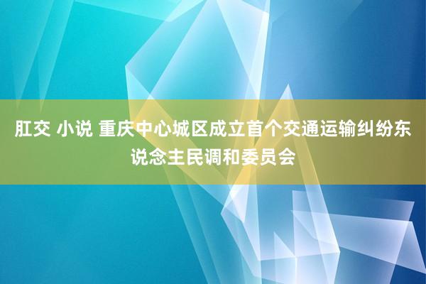 肛交 小说 重庆中心城区成立首个交通运输纠纷东说念主民调和委员会