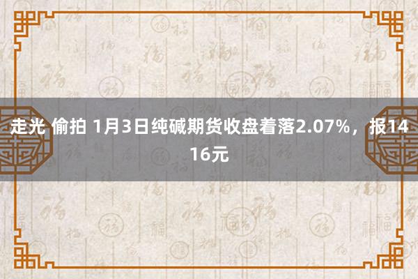 走光 偷拍 1月3日纯碱期货收盘着落2.07%，报1416元