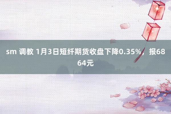 sm 调教 1月3日短纤期货收盘下降0.35%，报6864元