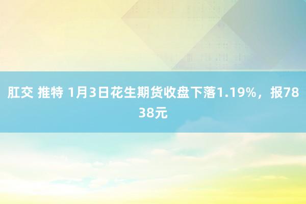 肛交 推特 1月3日花生期货收盘下落1.19%，报7838元