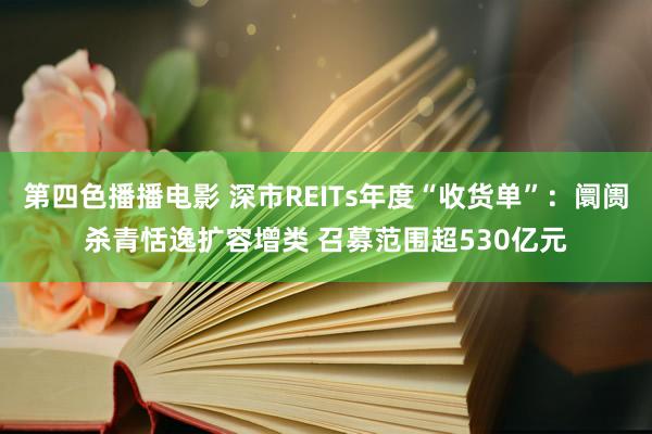 第四色播播电影 深市REITs年度“收货单”：阛阓杀青恬逸扩容增类 召募范围超530亿元