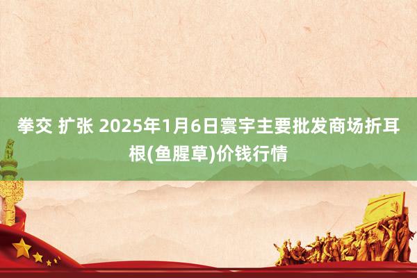 拳交 扩张 2025年1月6日寰宇主要批发商场折耳根(鱼腥草)价钱行情