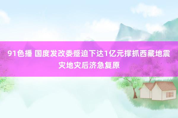 91色播 国度发改委蹙迫下达1亿元撑抓西藏地震灾地灾后济急复原