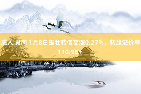 成人 男同 1月8日雄壮转债高涨0.27%，转股溢价率110.95%