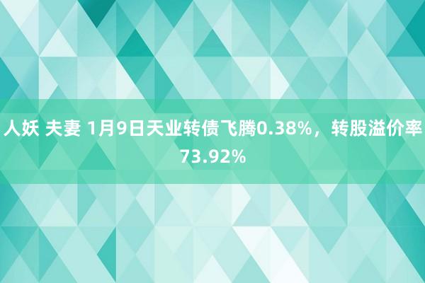 人妖 夫妻 1月9日天业转债飞腾0.38%，转股溢价率73.92%