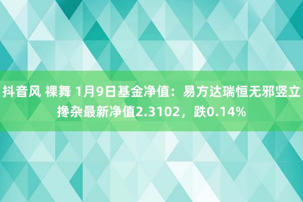 抖音风 裸舞 1月9日基金净值：易方达瑞恒无邪竖立搀杂最新净值2.3102，跌0.14%