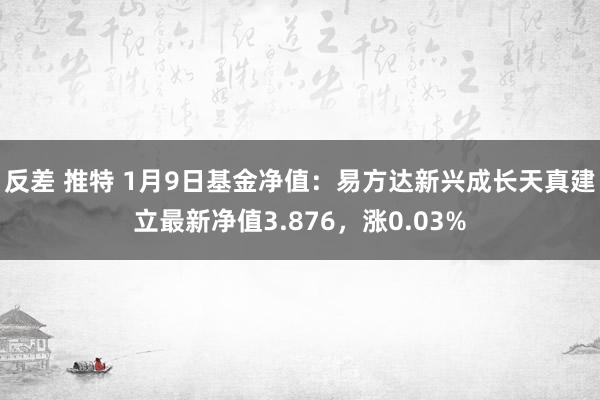 反差 推特 1月9日基金净值：易方达新兴成长天真建立最新净值3.876，涨0.03%