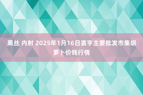 黑丝 内射 2025年1月16日寰宇主要批发市集胡萝卜价钱行情