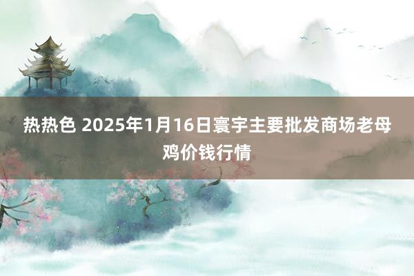 热热色 2025年1月16日寰宇主要批发商场老母鸡价钱行情