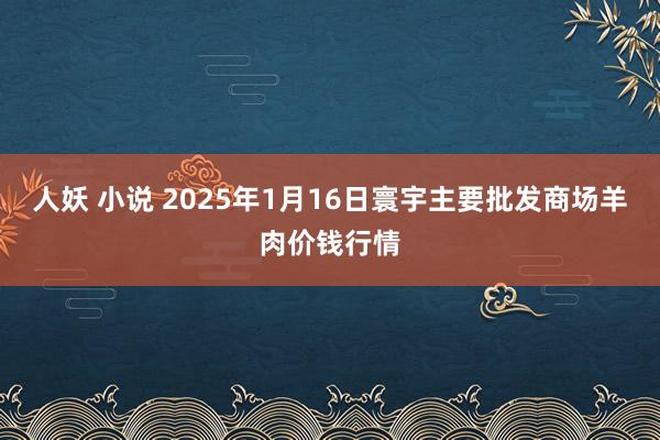 人妖 小说 2025年1月16日寰宇主要批发商场羊肉价钱行情