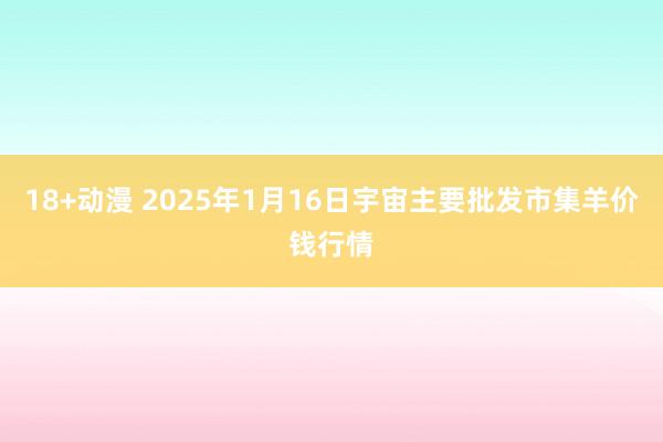 18+动漫 2025年1月16日宇宙主要批发市集羊价钱行情