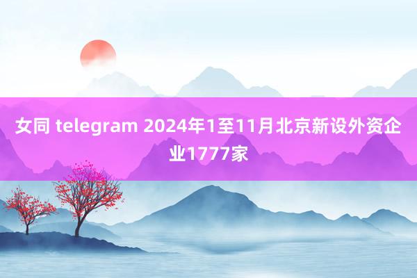 女同 telegram 2024年1至11月北京新设外资企业1777家